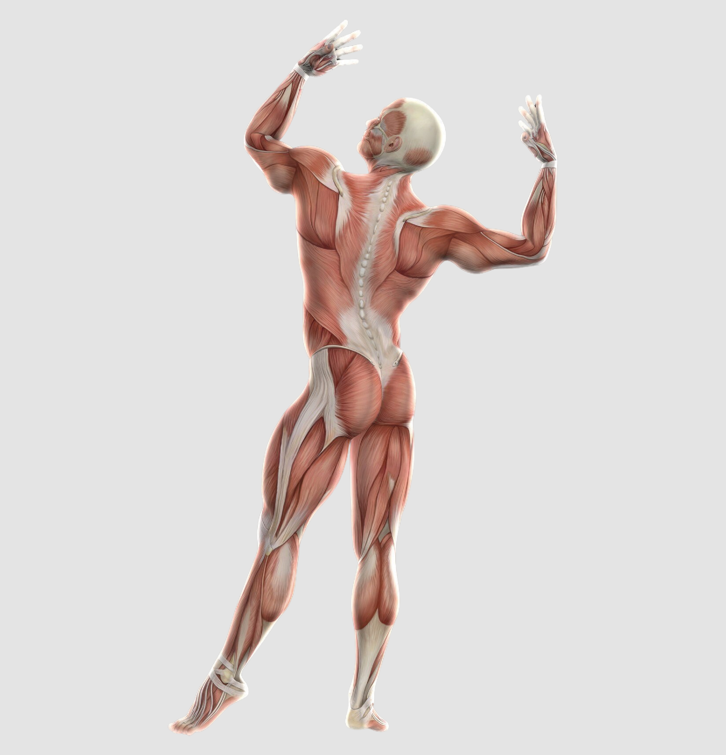 The different layers