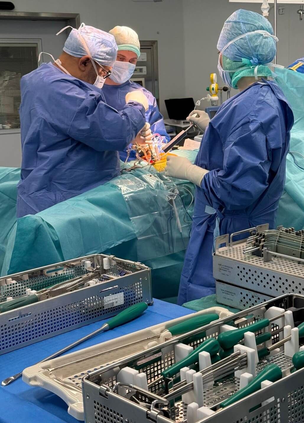 Spineway Academy program